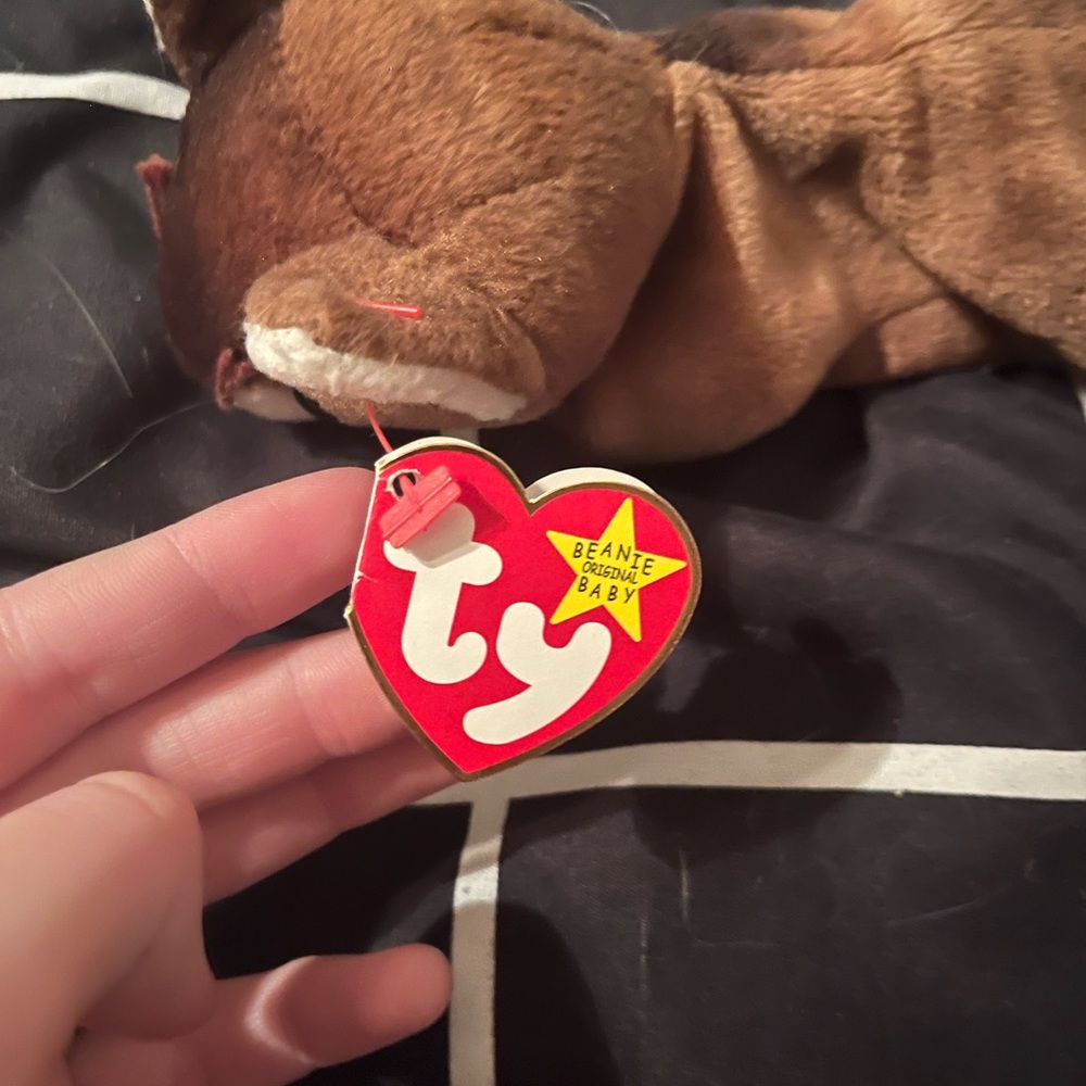 pounce beanie baby